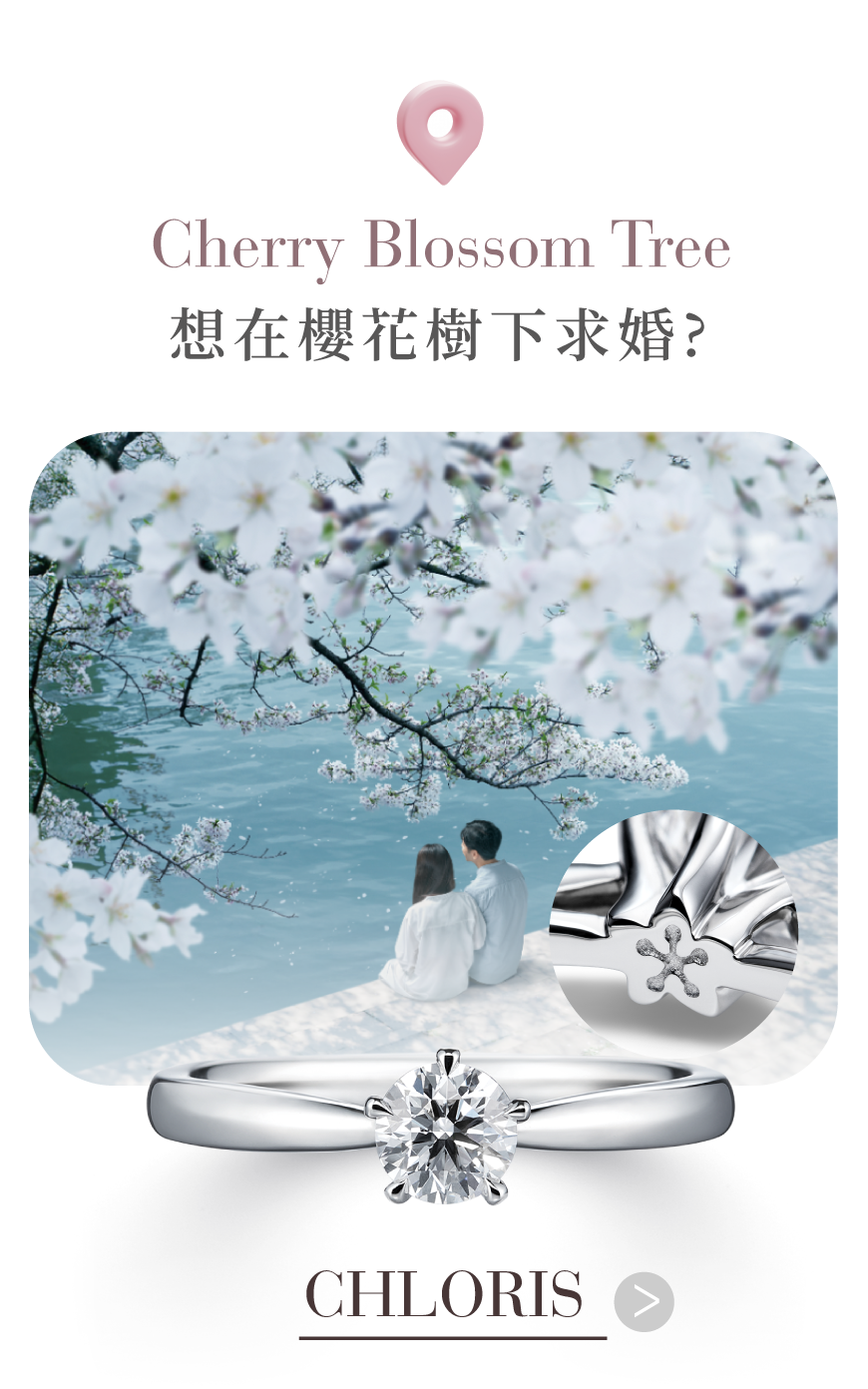 CHLORIS 求婚鑽戒