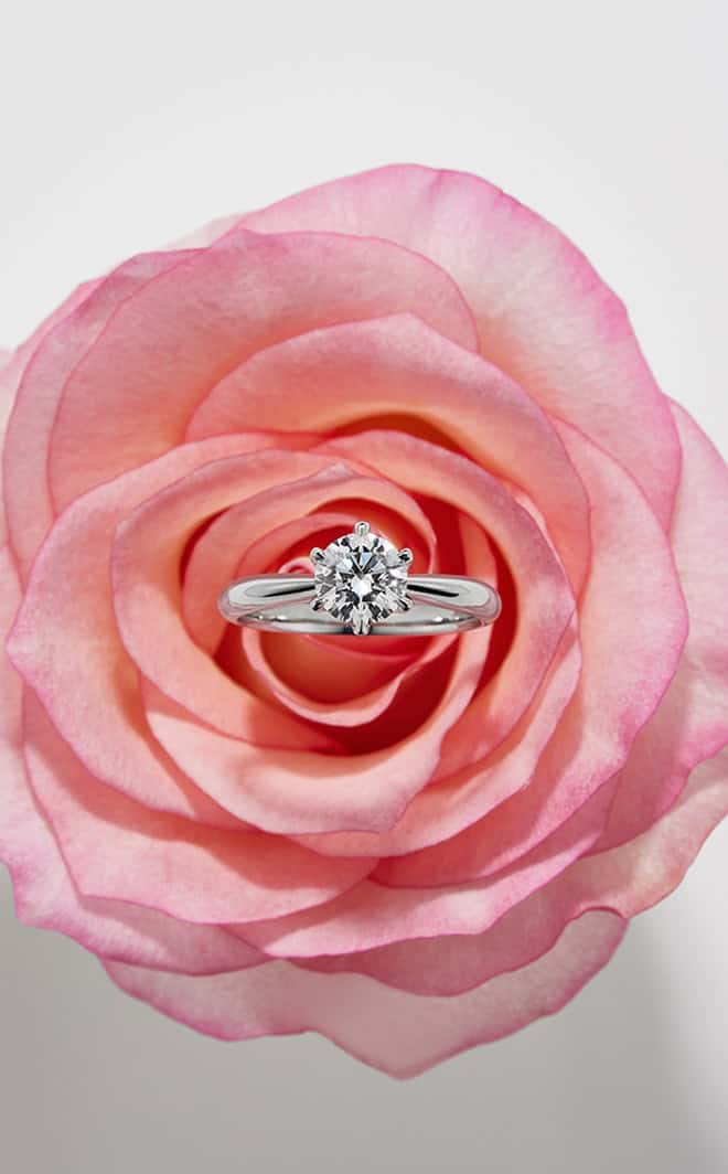 產品圖hover效果