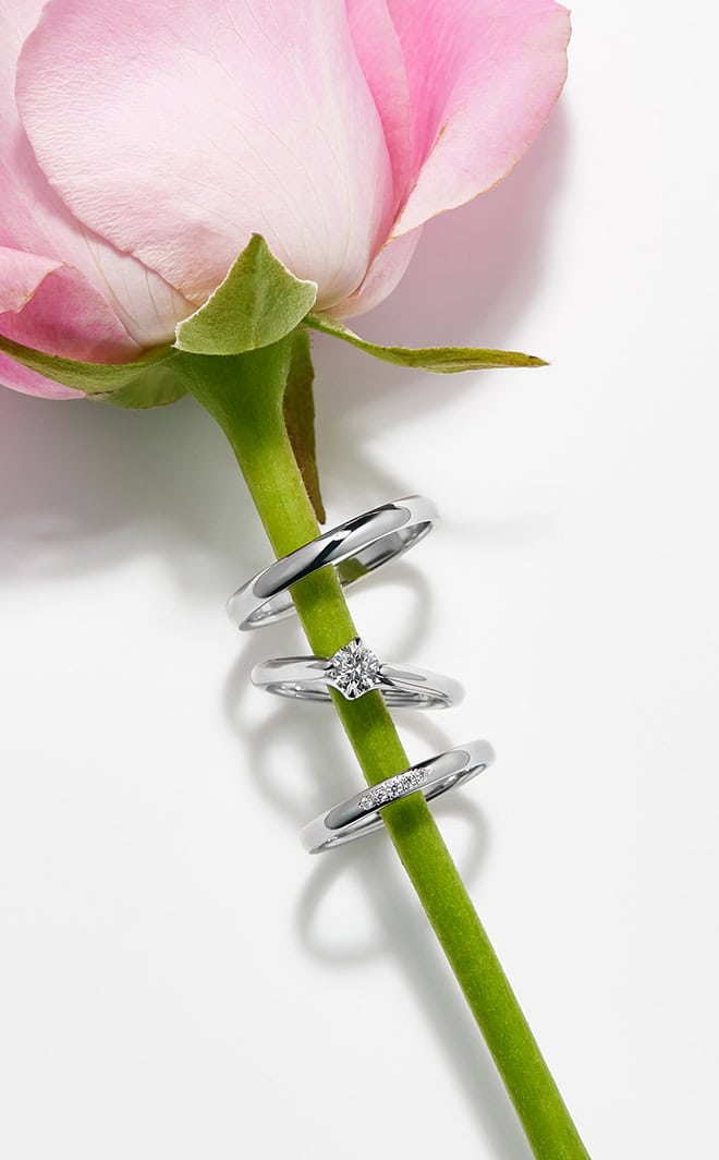 產品圖hover效果